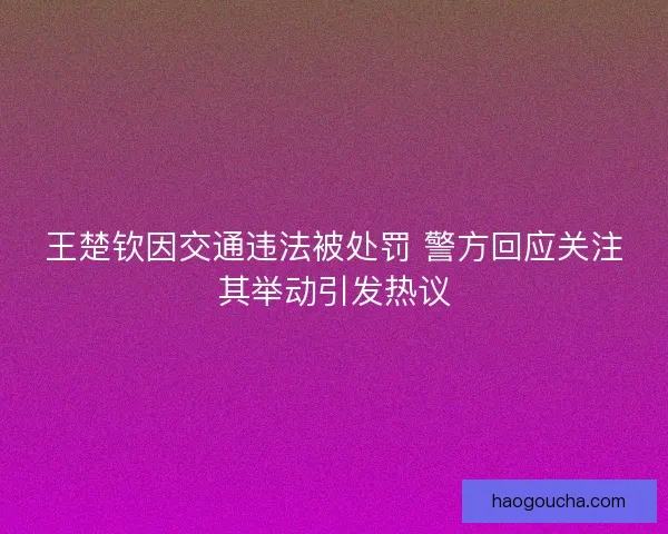 王楚钦因交通违法被处罚 警方回应关注其举动引发热议