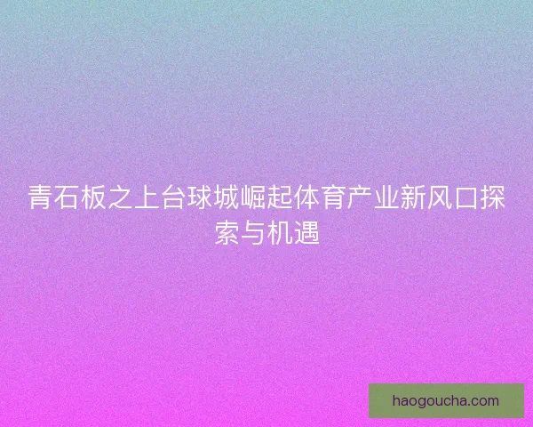 青石板之上台球城崛起体育产业新风口探索与机遇