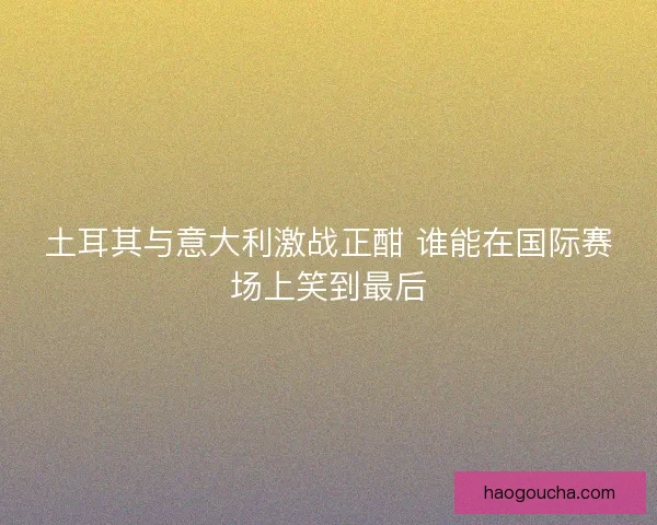 土耳其与意大利激战正酣 谁能在国际赛场上笑到最后